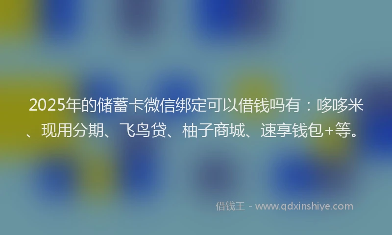 2025年的储蓄卡微信绑定可以借钱吗有：哆哆米、现用分期、飞鸟贷、柚子商城、速享钱包+等。