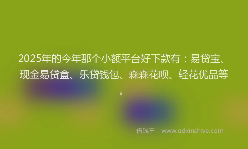 2025年的今年那个小额平台好下款有：易贷宝、现金易贷盒、乐贷钱包、森森花呗、轻花优品等。