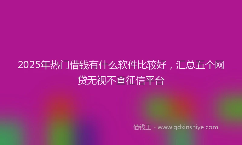 2025年热门借钱有什么软件比较好，汇总五个网贷无视不查征信平台