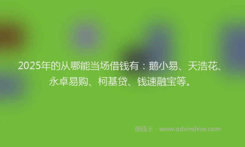 2025年的从哪能当场借钱有：鹅小易、天浩花、永卓易购、柯基贷、钱速融宝等。