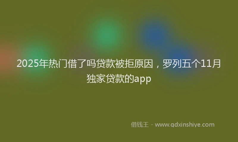 2025年热门借了吗贷款被拒原因，罗列五个11月独家贷款的app