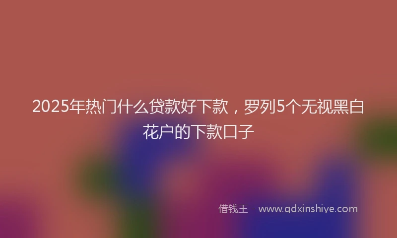 2025年热门什么贷款好下款，罗列5个无视黑白花户的下款口子
