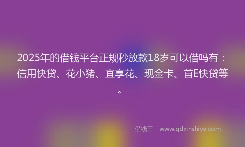 2025年的借钱平台正规秒放款18岁可以借吗有：信用快贷、花小猪、宜享花、现金卡、首E快贷等。