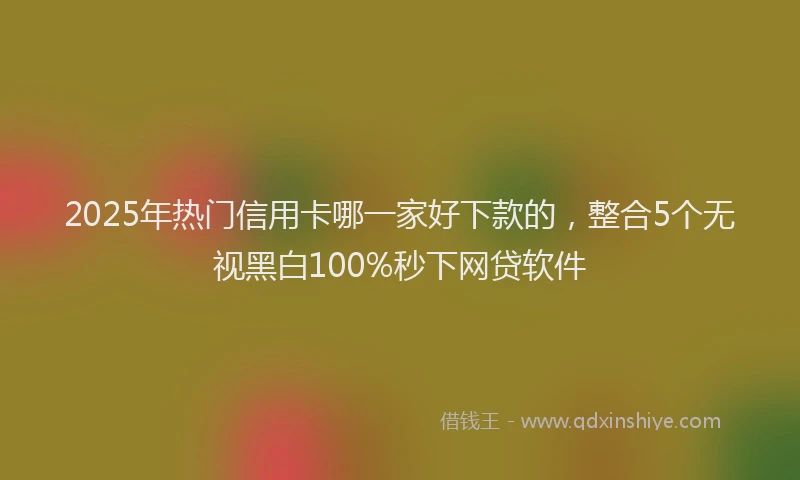 2025年热门信用卡哪一家好下款的，整合5个无视黑白100%秒下网贷软件