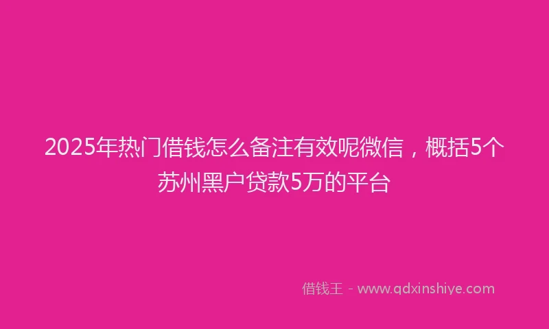 2025年热门借钱怎么备注有效呢微信，概括5个苏州黑户贷款5万的平台