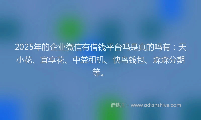 2025年的企业微信有借钱平台吗是真的吗有：天小花、宜享花、中益租机、快鸟钱包、森森分期等。