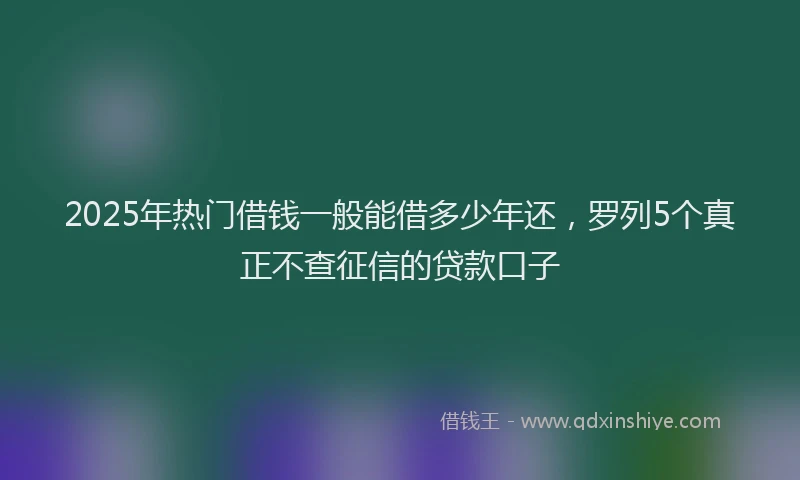 2025年热门借钱一般能借多少年还，罗列5个真正不查征信的贷款口子