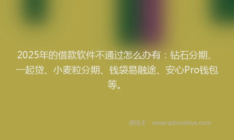2025年的借款软件不通过怎么办有：钻石分期、一起贷、小麦粒分期、钱袋易融途、安心Pro钱包等。