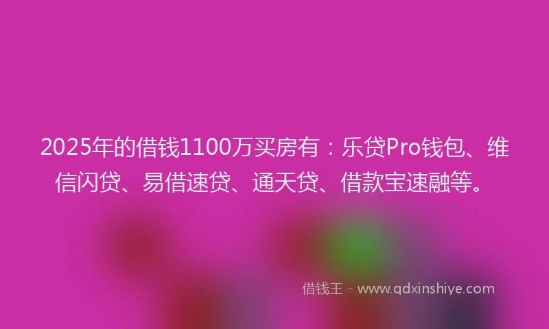 2025年的借钱1100万买房有：乐贷Pro钱包、维信闪贷、易借速贷、通天贷、借款宝速融等。