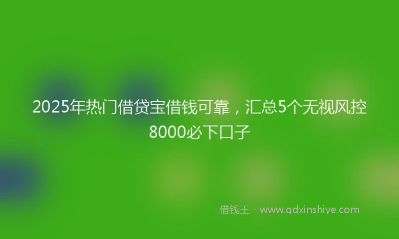 2025年热门借贷宝借钱可靠，汇总5个无视风控8000必下口子