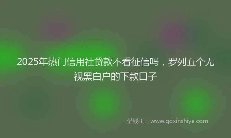 2025年热门信用社贷款不看征信吗，罗列五个无视黑白户的下款口子