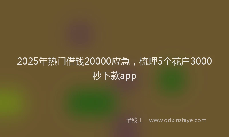 2025年热门借钱20000应急，梳理5个花户3000秒下款app