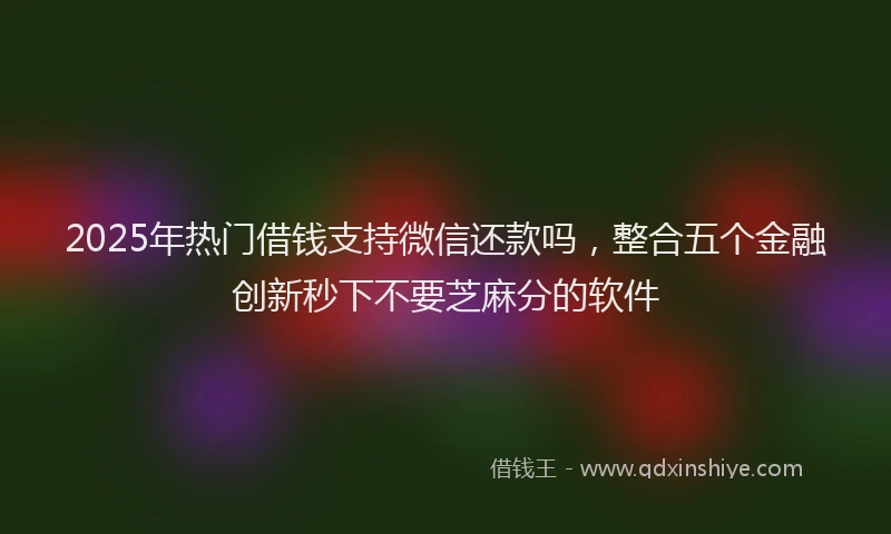 2025年热门借钱支持微信还款吗，整合五个金融创新秒下不要芝麻分的软件