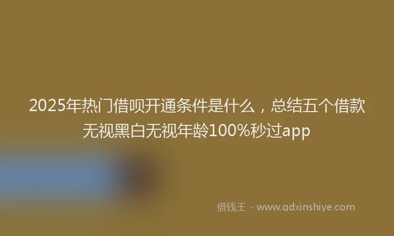 2025年热门借呗开通条件是什么，总结五个借款无视黑白无视年龄100%秒过app