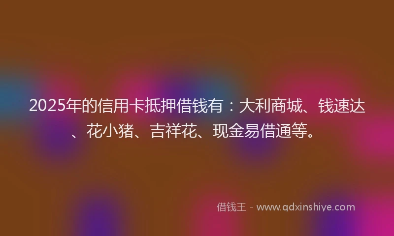 2025年的信用卡抵押借钱有：大利商城、钱速达、花小猪、吉祥花、现金易借通等。