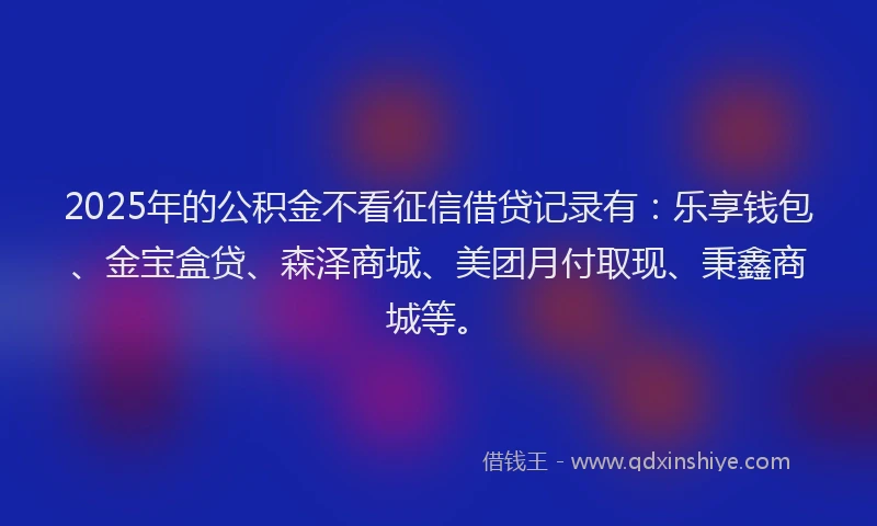 2025年的公积金不看征信借贷记录有：乐享钱包、金宝盒贷、森泽商城、美团月付取现、秉鑫商城等。