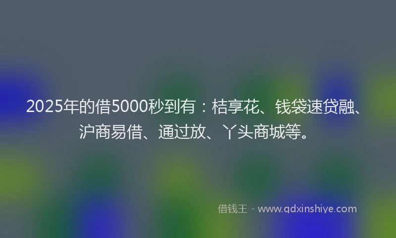 2025年的借5000秒到有：桔享花、钱袋速贷融、沪商易借、通过放、丫头商城等。