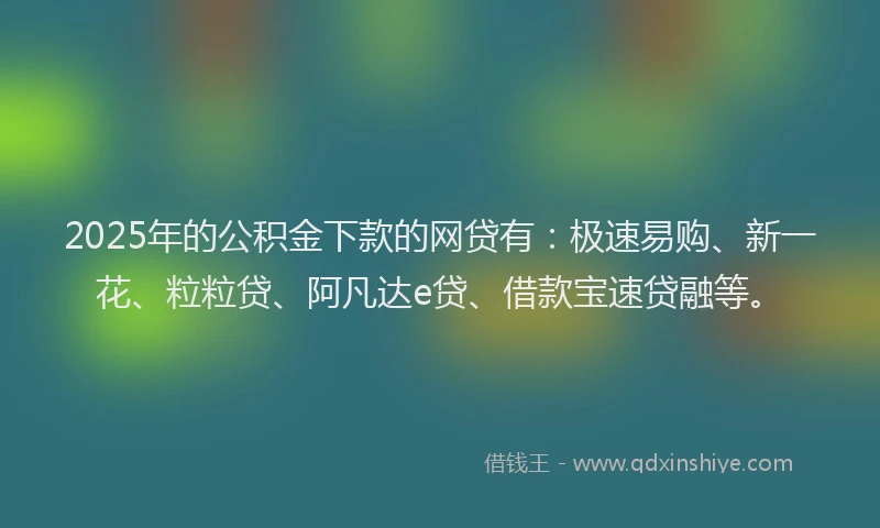 2025年的公积金下款的网贷有：极速易购、新一花、粒粒贷、阿凡达e贷、借款宝速贷融等。