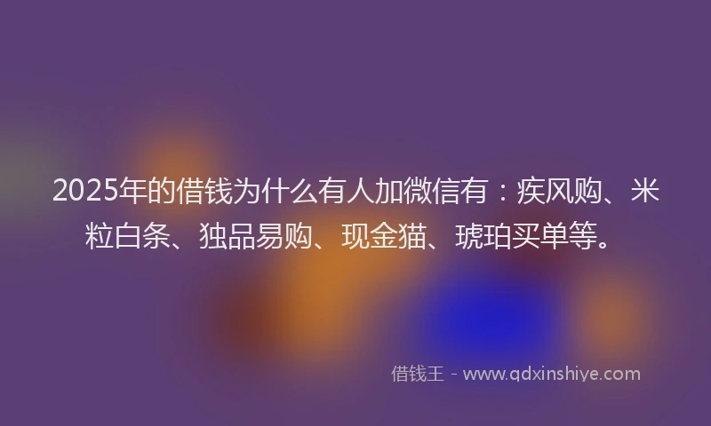 2025年的借钱为什么有人加微信有：疾风购、米粒白条、独品易购、现金猫、琥珀买单等。