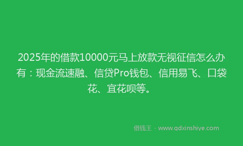 2025年的借款10000元马上放款无视征信怎么办有：现金流速融、信贷Pro钱包、信用易飞、口袋花、宜花呗等。
