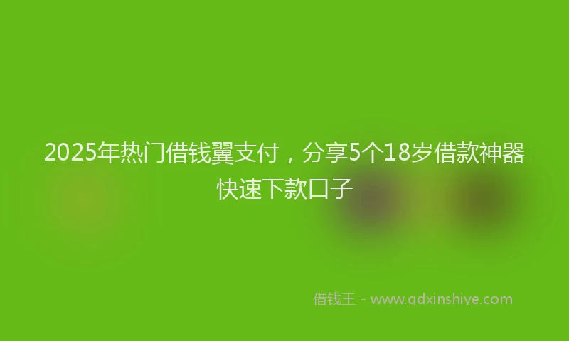 2025年热门借钱翼支付，分享5个18岁借款神器快速下款口子