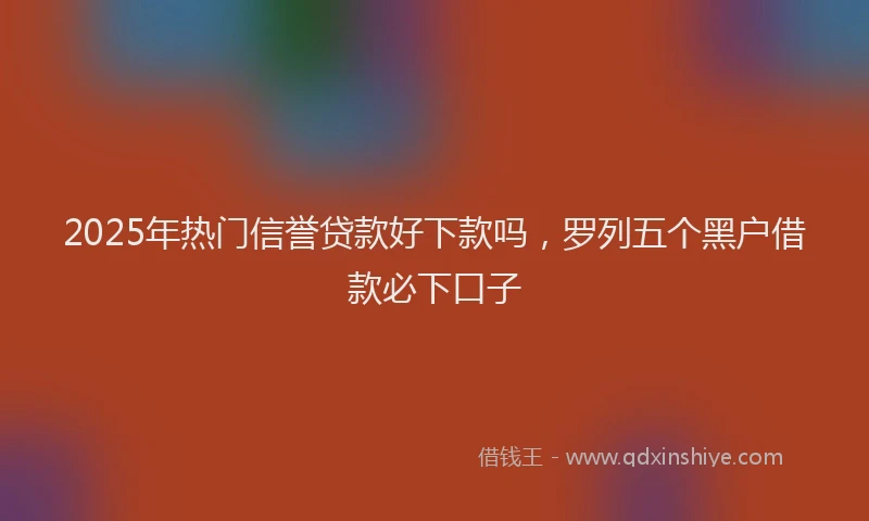 2025年热门信誉贷款好下款吗，罗列五个黑户借款必下口子