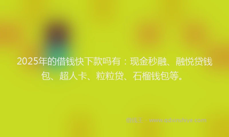 2025年的借钱快下款吗有：现金秒融、融悦贷钱包、超人卡、粒粒贷、石榴钱包等。