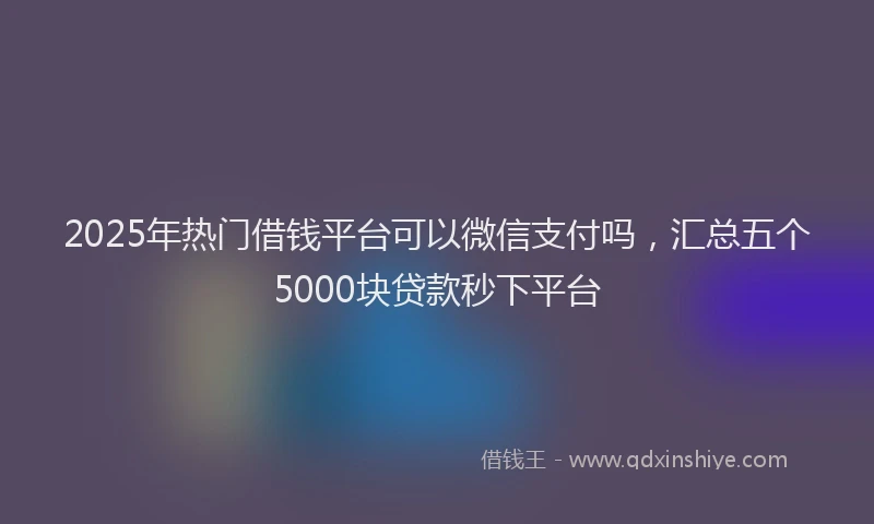 2025年热门借钱平台可以微信支付吗，汇总五个5000块贷款秒下平台