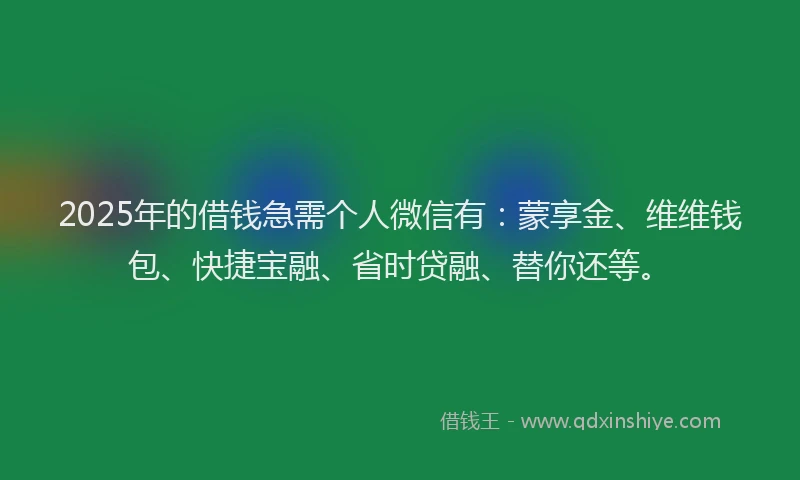 2025年的借钱急需个人微信有：蒙享金、维维钱包、快捷宝融、省时贷融、替你还等。