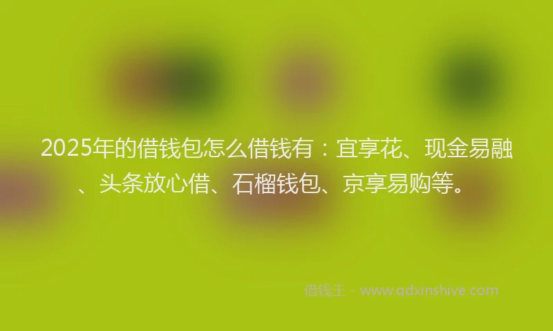 2025年的借钱包怎么借钱有：宜享花、现金易融、头条放心借、石榴钱包、京享易购等。
