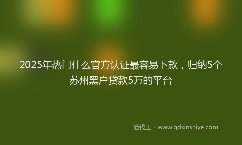2025年热门什么官方认证最容易下款，归纳5个苏州黑户贷款5万的平台