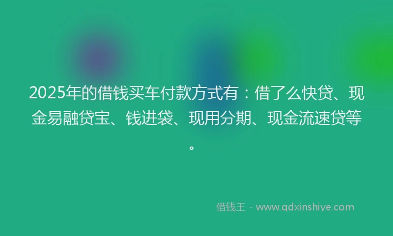 2025年的借钱买车付款方式有：借了么快贷、现金易融贷宝、钱进袋、现用分期、现金流速贷等。