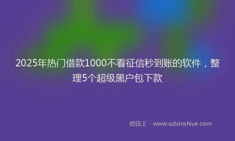 2025年热门借款1000不看征信秒到账的软件，整理5个超级黑户包下款