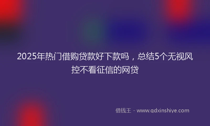 2025年热门借购贷款好下款吗，总结5个无视风控不看征信的网贷