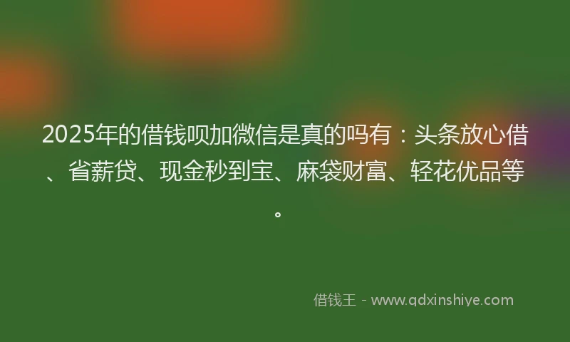 2025年的借钱呗加微信是真的吗有：头条放心借、省薪贷、现金秒到宝、麻袋财富、轻花优品等。
