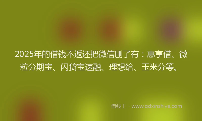 2025年的借钱不返还把微信删了有：惠享借、微粒分期宝、闪贷宝速融、理想给、玉米分等。