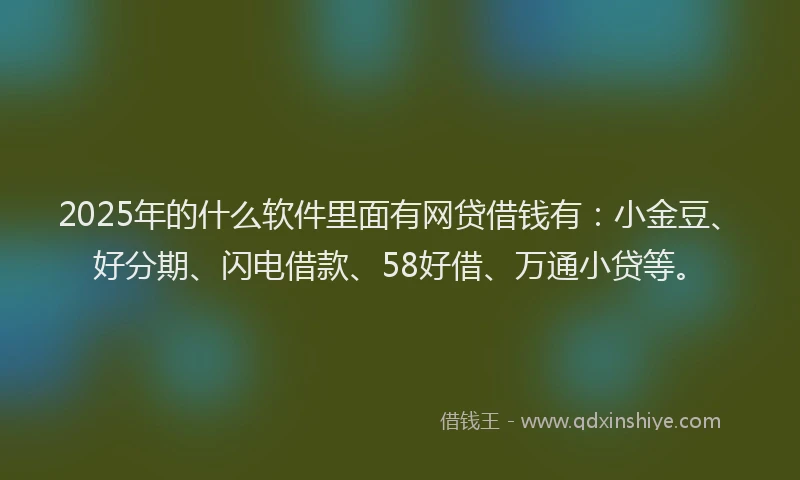 2025年的什么软件里面有网贷借钱有：小金豆、好分期、闪电借款、58好借、万通小贷等。