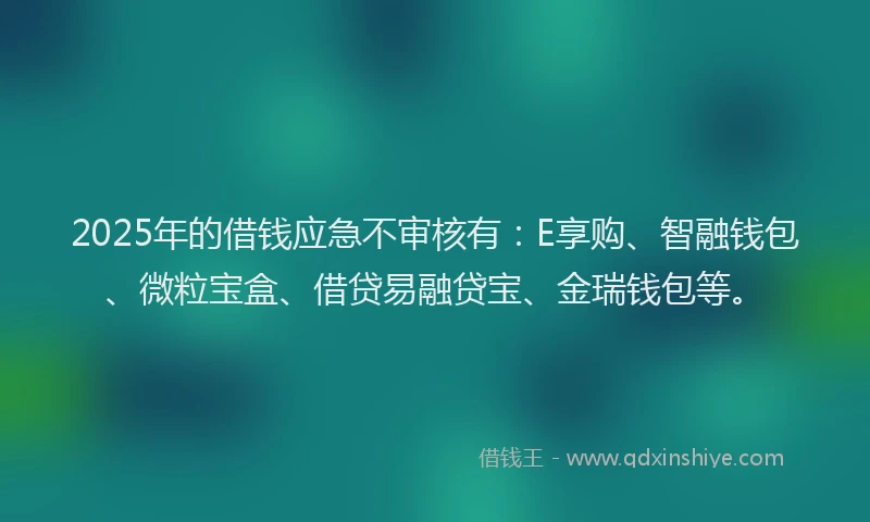 2025年的借钱应急不审核有：E享购、智融钱包、微粒宝盒、借贷易融贷宝、金瑞钱包等。