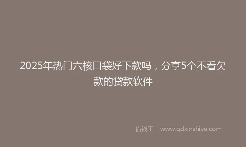 2025年热门六核口袋好下款吗，分享5个不看欠款的贷款软件