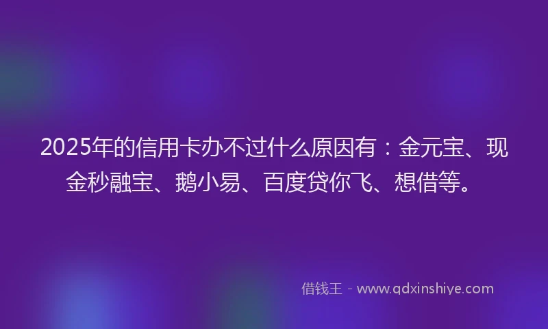 2025年的信用卡办不过什么原因有：金元宝、现金秒融宝、鹅小易、百度贷你飞、想借等。