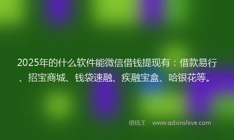 2025年的什么软件能微信借钱提现有：借款易行、招宝商城、钱袋速融、疾融宝盒、哈银花等。