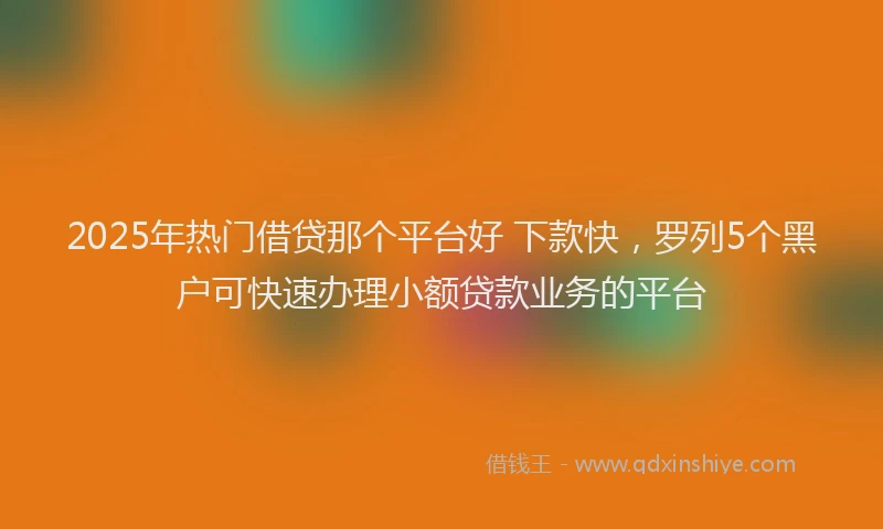 2025年热门借贷那个平台好 下款快，罗列5个黑户可快速办理小额贷款业务的平台