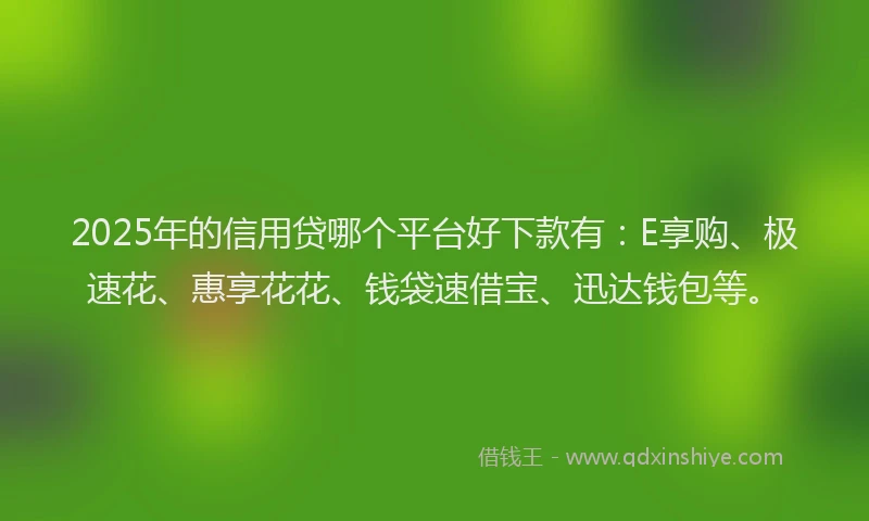 2025年的信用贷哪个平台好下款有：E享购、极速花、惠享花花、钱袋速借宝、迅达钱包等。