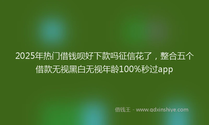 2025年热门借钱呗好下款吗征信花了，整合五个借款无视黑白无视年龄100%秒过app