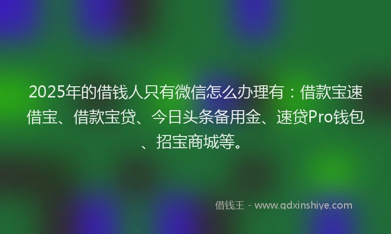 2025年的借钱人只有微信怎么办理有：借款宝速借宝、借款宝贷、今日头条备用金、速贷Pro钱包、招宝商城等。
