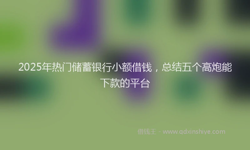 2025年热门储蓄银行小额借钱，总结五个高炮能下款的平台