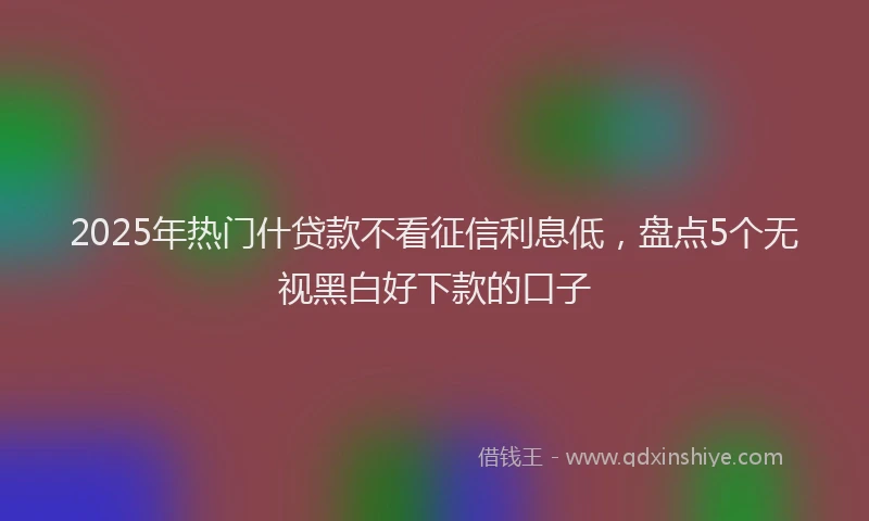 2025年热门什贷款不看征信利息低，盘点5个无视黑白好下款的口子