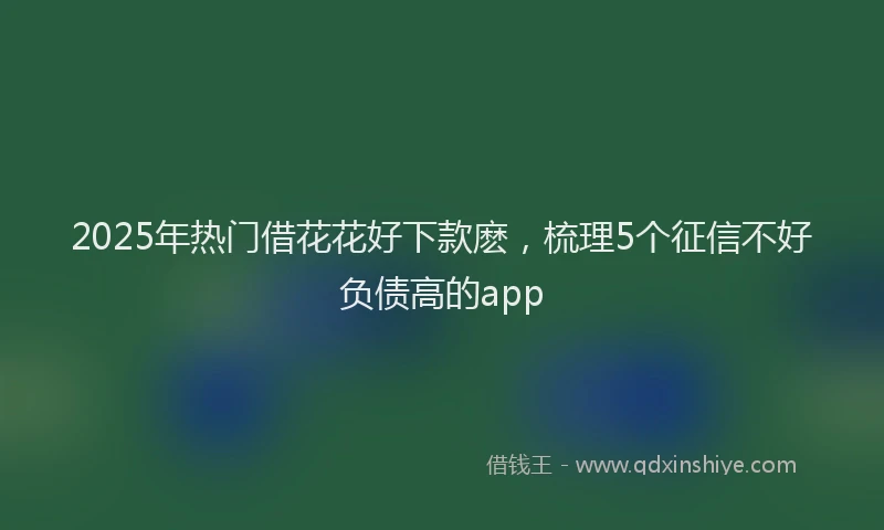 2025年热门借花花好下款麽，梳理5个征信不好负债高的app