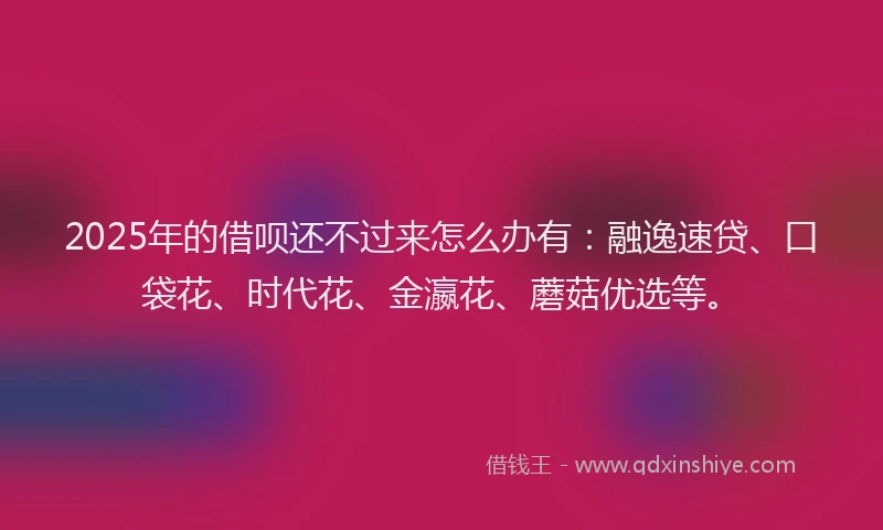 2025年的借呗还不过来怎么办有：融逸速贷、口袋花、时代花、金瀛花、蘑菇优选等。