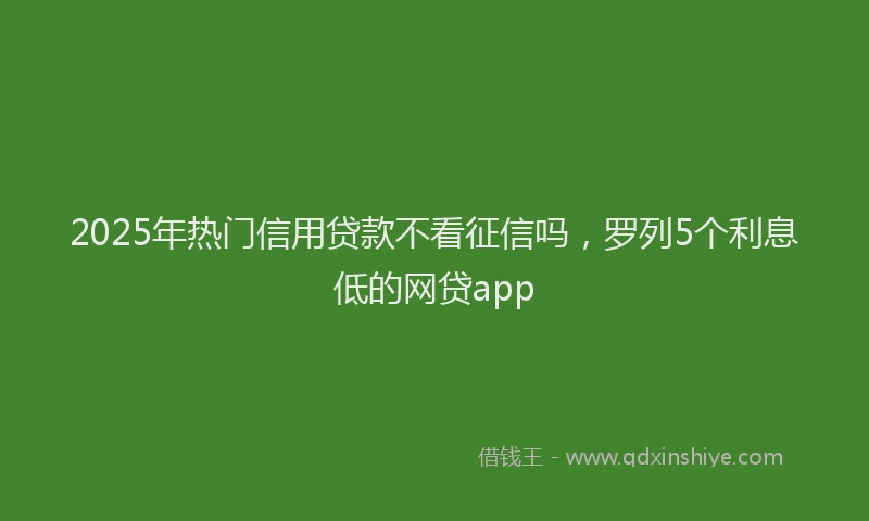 2025年热门信用贷款不看征信吗，罗列5个利息低的网贷app